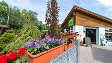 Nejhezčí letničky v našich zahradách Nejhezčí letničky v našich zahradách