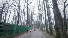 Park Petra Bezruče v Lidových sadech Park Petra Bezruče v Lidových sadech