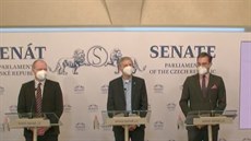 Ústavní stínost na pandemický zákon pedstavili senátor Luká Wagenknech,...