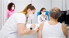 Pravák, nebo levák? Před vpichem zdravotníci zjišťují i to, kterou ruku člověk... Pravák, nebo levák? Před vpichem zdravotníci zjišťují i to, kterou ruku člověk...