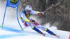 Marco Odermatt v obřím slalomu v Kranjské Goře. Marco Odermatt v obřím slalomu v Kranjské Goře.