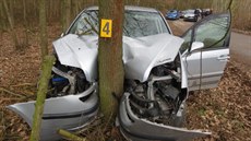 Řidič ujížděl v kradeném autě a narazil do stromu. Při nehodě se vážně zranila... Řidič ujížděl v kradeném autě a narazil do stromu. Při nehodě se vážně zranila...
