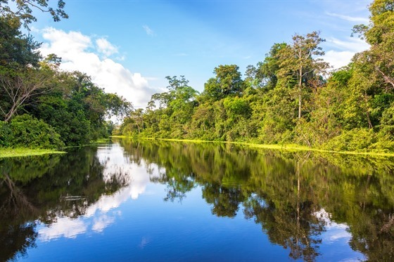 Amazonský detný prales poblí peruánského msta Iquitos