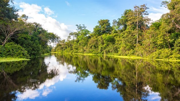 Amazonsk detn prales pobl perunskho msta Iquitos