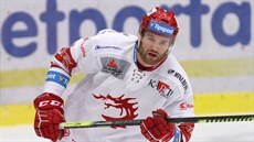 David Musil David Musil