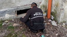 Strážník u vysekaného otvoru, kterým prolézal třináctiletý hoch nejspíše... Strážník u vysekaného otvoru, kterým prolézal třináctiletý hoch nejspíše...
