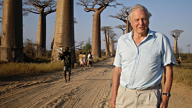 Z dokumentu David Attenborough a obř&iacute; vejce. Ten připom&iacute;n&aacute;, jak před pades&aacute;ti lety př&iacute;rodovědec nav&scaron;t&iacute;vil Madagaskar.