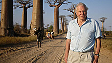 Z dokumentu David Attenborough a obří vejce. Ten připomíná, jak před padesáti... Z dokumentu David Attenborough a obří vejce. Ten připomíná, jak před padesáti...