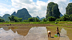 Okolí městečka Yangshuo. Okolí městečka Yangshuo.