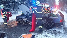 Při nehodě zemřel pasažér cestující v BMW. Při nehodě zemřel pasažér cestující v BMW.