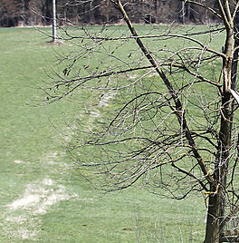 Pomník uprostřed pole je záhadou. Neví se, kdo, kdy a proč ho tu postavil Záhada v polích. Připomíná pomník rok 1848? | na serveru Lidovky.cz | aktuální zprávy