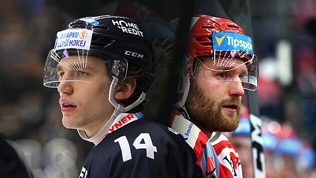 Adam Musil (vlevo) a David Musil (vpravo) Adam Musil (vlevo) a David Musil (vpravo)