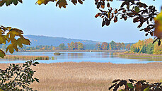 Pohled na Dolní Padrský rybník z hráze Horního Padrského rybníka