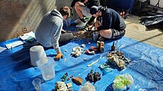 V boji s pohozeným odpadem pomůže nová litteringová studie V boji s pohozeným odpadem pomůže nová litteringová studie