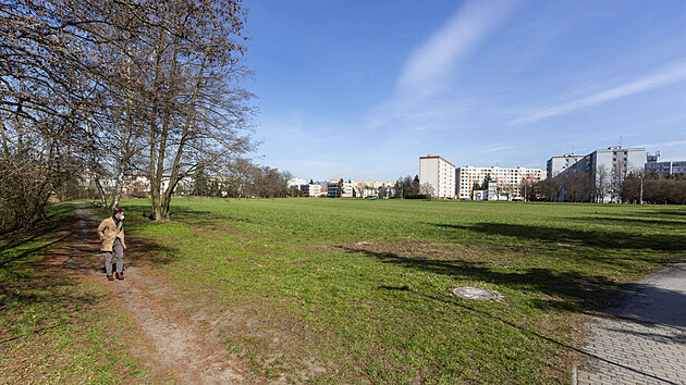 V olomoucké čtvrti Lazce má mezi ulicí Dlouhá a Mlýnským potokem nahradit nynější pole nový park s rozlohou kolem dvaceti tisíc metrů čtverečních.