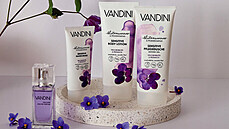 Liftec - Vandini - CBA Liftec - Vandini - CBA