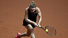 Simona Halepová na turnaji ve Stuttgartu Simona Halepová na turnaji ve Stuttgartu
