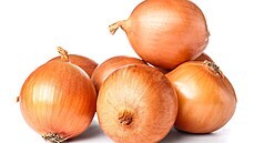Cibule Cibule