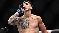 Procházku vypnu, slibuje Rakić. Uznávaný sudí analyzuje: Dokázal by to, ale... Rakušan Aleksandar Rakic si už Jiřího Procházky všiml. A chce mu v UFC srazit... | na serveru Lidovky.cz | aktuální zprávy
