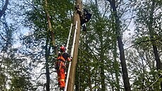 Ornitolog s lezeckým vybavením uvázl zhruba v desetimetrové výšce. Dolů mu... Ornitolog s lezeckým vybavením uvázl zhruba v desetimetrové výšce. Dolů mu...