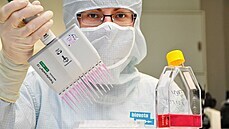 Bez očkování zvířat hrozí nové mutace viru. Na Moravě pro ně vyvíjejí vakcínu Firma Bioveta z Ivanovic na Hané na Vyškovsku je největším českým výrobcem... | na serveru Lidovky.cz | aktuální zprávy