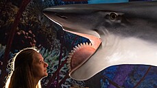 Model z londýnské výstavy Život před dinosaury z února 2020 již mohl... Model z londýnské výstavy Život před dinosaury z února 2020 již mohl...