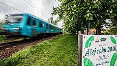 Alej Kaštanka v Hradci Králové (14. 5. 2021) Alej Kaštanka v Hradci Králové (14. 5. 2021)