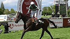No Time To Lose skončil loni při Velké pardubické na Taxisově příkopu. V sobotu... No Time To Lose skončil loni při Velké pardubické na Taxisově příkopu. V sobotu...
