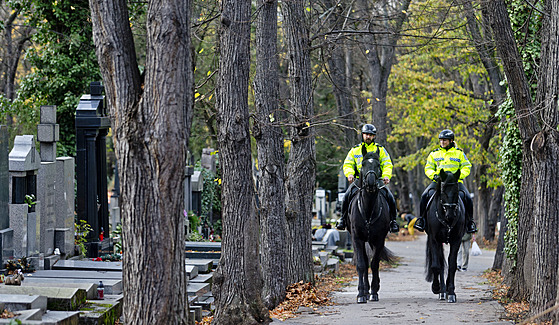 Na hbitovy se se zvíaty nesmí, policisté na koních mají výjimku.