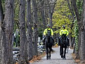 Na hřbitovy se se zvířaty nesmí, policisté na koních mají výjimku.