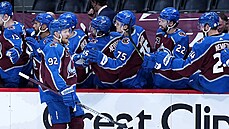 Gabriel Landeskog z Colorada sbírá gratulace ke gólu. Gabriel Landeskog z Colorada sbírá gratulace ke gólu.