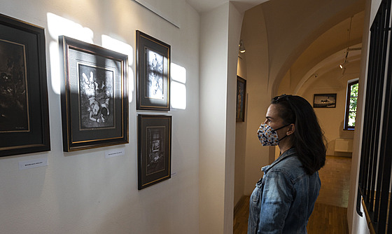 V Prostjov se koná vbec první výstava dl známého eského fotografa Jana Saudka. Návtvnost je rekordní.