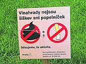 Cedule