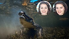 Georgia Laurie praštila krokodýla, aby zachránila své identické dvojče Melissu. Georgia Laurie praštila krokodýla, aby zachránila své identické dvojče Melissu.