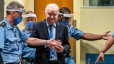 Bývalý vojenský vůdce bosenských Srbů Ratko Mladič sedí v soudní síni před... Bývalý vojenský vůdce bosenských Srbů Ratko Mladič sedí v soudní síni před...
