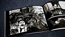 Lucie Trávníčková se rozhodla se svou nemocí bojovat pomocí komiksu. Lucie Trávníčková se rozhodla se svou nemocí bojovat pomocí komiksu.