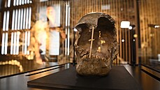 Národní muzeum představilo v Praze fosilní lebku ženy, která žila v době před... Národní muzeum představilo v Praze fosilní lebku ženy, která žila v době před...