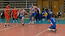 České libero Daniel Pfeffer přihrává v zápase s Portugalskem. České libero Daniel Pfeffer přihrává v zápase s Portugalskem.