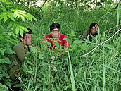 Policisté našli šest mladých cizinců, kteří se ukrývali v terénu na... Policisté našli šest mladých cizinců, kteří se ukrývali v terénu na...