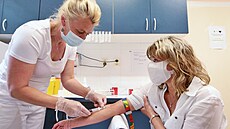 Sestra Dagmar Vilímová odebírá krev lékařce Miloslavě Janouškové k provedení... | na serveru Lidovky.cz | aktuální zprávy
