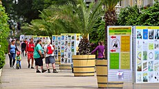 Mezinárodní festival kresleného humoru, open air výstava soutěžních vtipů ve... Mezinárodní festival kresleného humoru, open air výstava soutěžních vtipů ve...