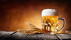 Hrady, jeskyně, hory nebo koupání? Toulky po vlasti mohou mít i jiné cíle. S... Hrady, jeskyně, hory nebo koupání? Toulky po vlasti mohou mít i jiné cíle. S...
