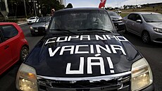 Ne Cop, Vakcíny te! píe se na kapot auta jednoho z odprc konání...