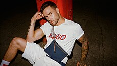 Liam Payne (2020) Liam Payne (2020)