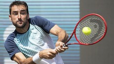 Marin Čilič na turnaji ve Stuttgartu Marin Čilič na turnaji ve Stuttgartu