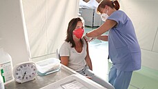 Očkovací maraton se koná od pátečního rána do sobotního podvečera ve středních... Očkovací maraton se koná od pátečního rána do sobotního podvečera ve středních...