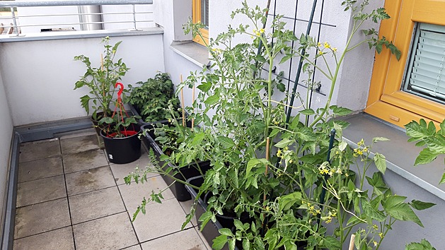 <p>Snímky ze Sídliště Solidarita v Praze 10 -Strašnicích.</p>