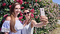 Výstava a festival Vyznání růžím přilákala do olomouckého rozária rekordní... Výstava a festival Vyznání růžím přilákala do olomouckého rozária rekordní...