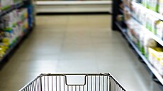 Před 30 lety otevřel v Česku první supermarket. V budoucnu se nakupování změní vozík, supermarket | na serveru Lidovky.cz | aktuální zprávy