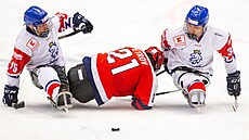 Čeští reprezentanti v parahokeji Jiří Raul (vlevo) a Václav Hečko zápolí s... Čeští reprezentanti v parahokeji Jiří Raul (vlevo) a Václav Hečko zápolí s...